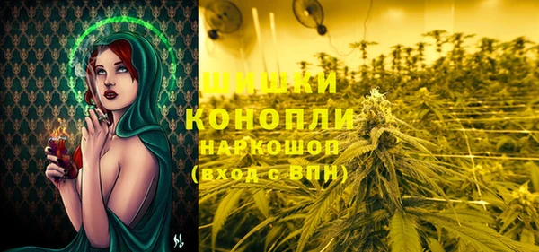 молекула духа Новозыбков
