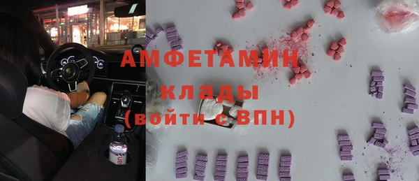 молекула духа Новозыбков