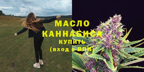 apvp Няндома
