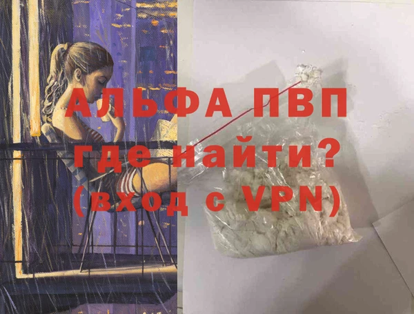 молекула духа Новозыбков