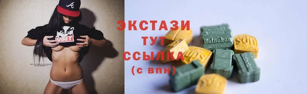 молекула духа Новозыбков