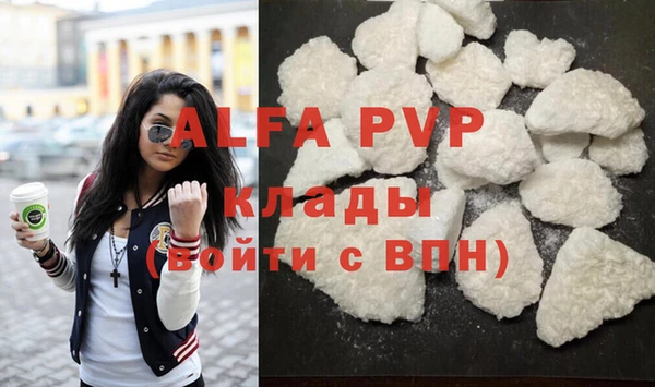 молекула духа Новозыбков
