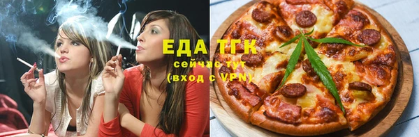 молекула духа Новозыбков