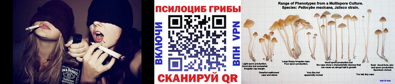 Псилоцибиновые грибы прущие грибы  даркнет сайт  Почеп 
